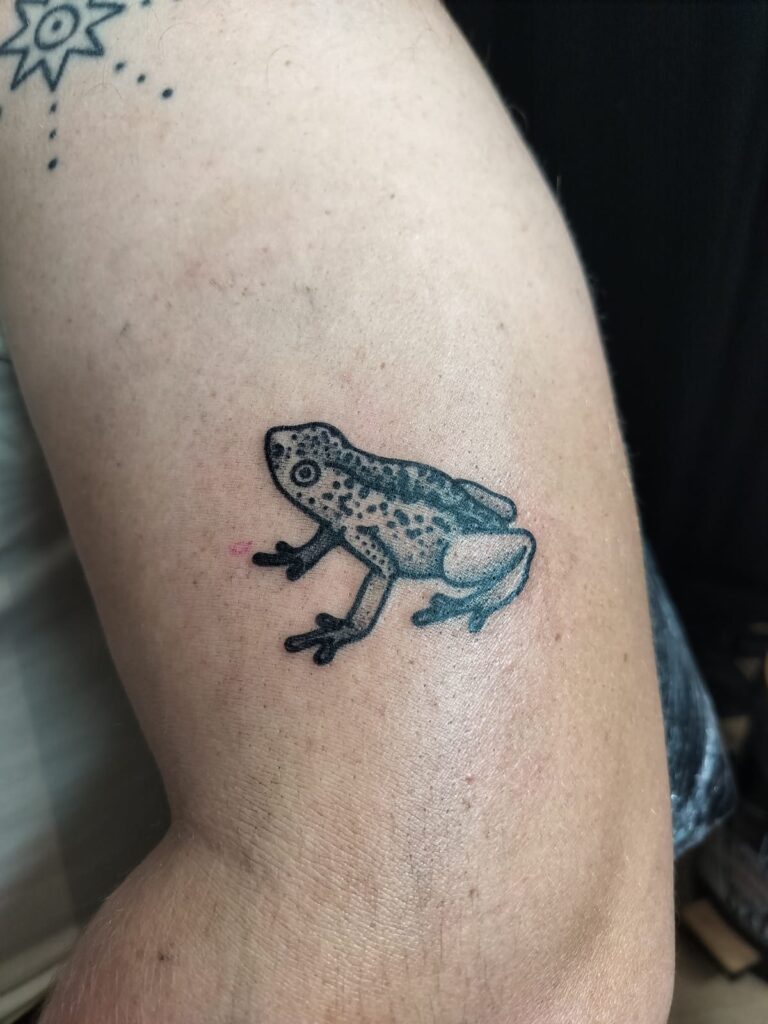 Een kleine, gedetailleerde tattoo van een kikker met een gespikkeld patroon, gezet op een arm. De stijl is illustratief met een duidelijke zwarte omlijning. Gezet door Nika van Unpunktual Tattoo tijdens de Sint-Niklaas Tattoo Expo.