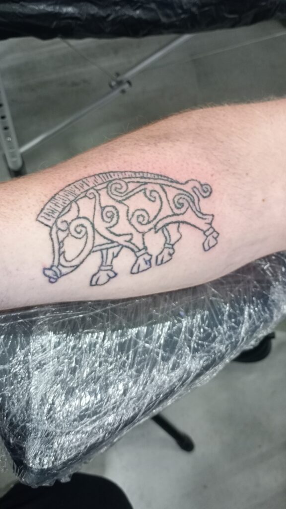 Een strakke handpoked tattoo op een onderarm van een everzwijn uitgevoerd in Noorse kunststijl. Het dier is opgebouwd uit sierlijke krullen en lijnen in zwarte inkt. Gezet door Wim Geysen tijdens de Sint-Niklaas Tattoo Expo.